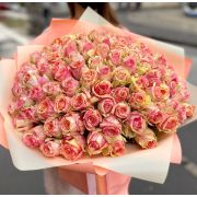 Роза Фиеста 60 см