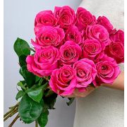 Роза Пинк флойд 60 см