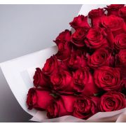 Роза Эксплорер 60 см