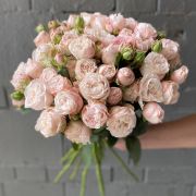 Роза кустовая пионовидная 50-60 см