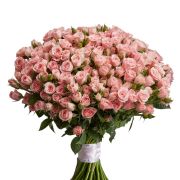 Роза кустовая 60-70 см