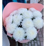 Хризантема одноголовая