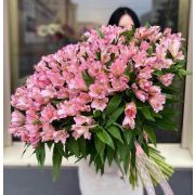 Альстромерия